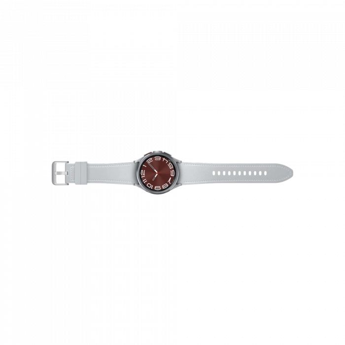 SAMSUNG SAMSUNG Watch 6 Classic (43mm) Gümüş Akıllı Saat