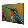 ARÇELİK A55HU 500B2-A-BI Hotel Tv