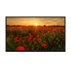 ARÇELİK A65K 780G HOTEL TV