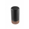 ARÇELİK Asista ADA101 Black-Copper Akıllı Asistan