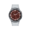 SAMSUNG SAMSUNG Watch 6 Classic (43mm) Gümüş Akıllı Saat