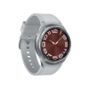 SAMSUNG SAMSUNG Watch 6 Classic (43mm) Gümüş Akıllı Saat
