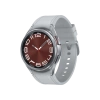SAMSUNG SAMSUNG Watch 6 Classic (43mm) Gümüş Akıllı Saat