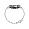 SAMSUNG SAMSUNG Watch 6 Classic (43mm) Gümüş Akıllı Saat