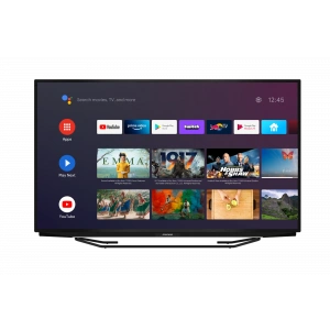 GRUNDIG Grundig Belgrad 65 GFU 7905 Grundig TV