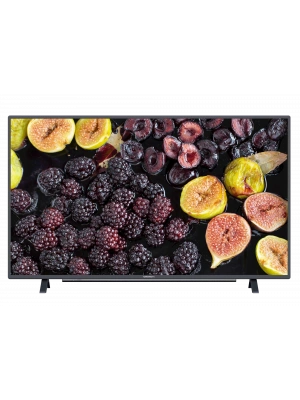 GRUNDIG GRUNDIG Dortmund 43 CLE 5845 AN