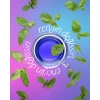Mavi Kelebek Çay (Butterfly Pea Flower) 20 Adet Şase