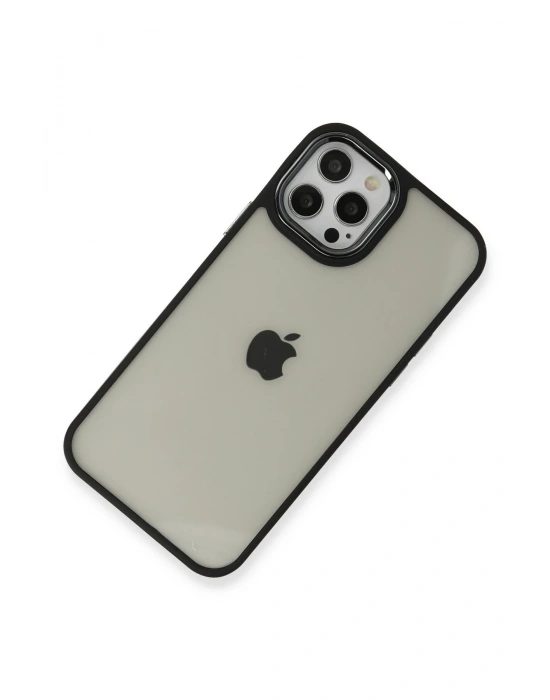 Newface iPhone 12 Pro Max Kılıf Dora Kapak - Siyah