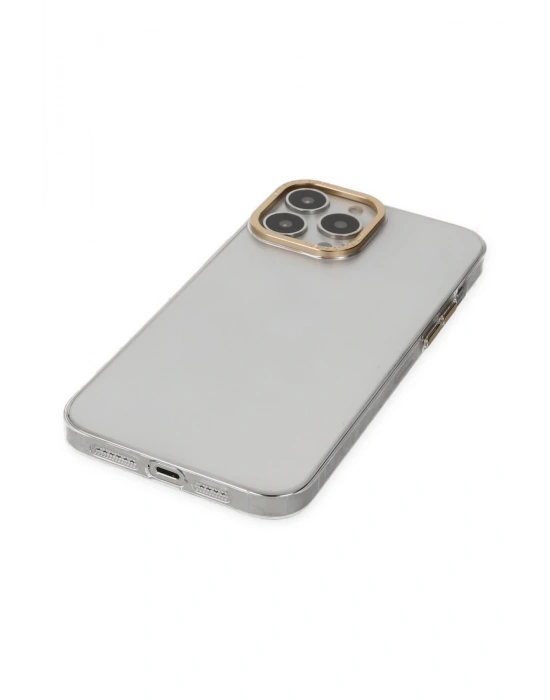 Newface iPhone 13 Pro Kılıf Anka PC Sert Metal Kapak - Şeffaf