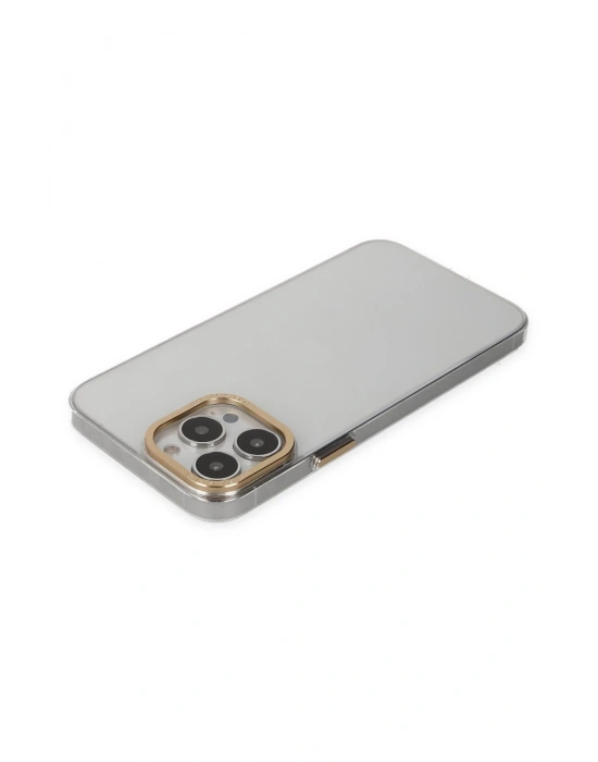 Newface iPhone 13 Pro Kılıf Anka PC Sert Metal Kapak - Şeffaf
