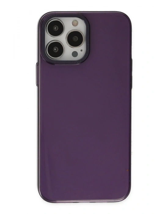 Newface iPhone 13 Pro Max Kılıf Anka PC Sert Metal Kapak - Mor