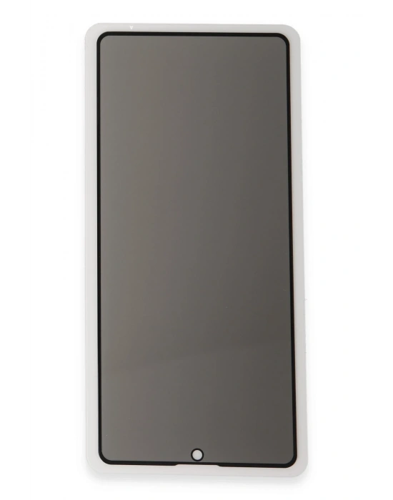 Newface Samsung Galaxy S25 Plus 3D Antistatik Hayalet Cam Ekran Koruyucu