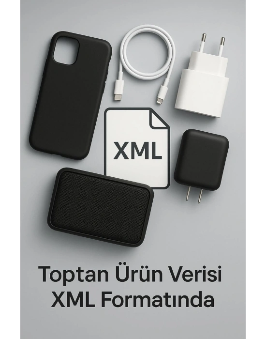 ONLİNE ÇIKTI HİZMETİ/XML (1 YILLIK )