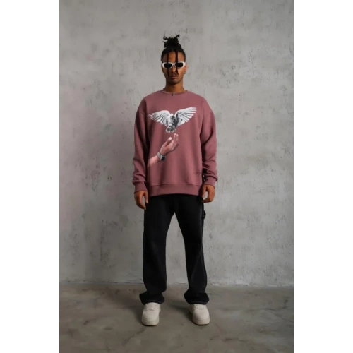 Erkek Güvercin Baskılı Sweatshirt - Gül Kurusu