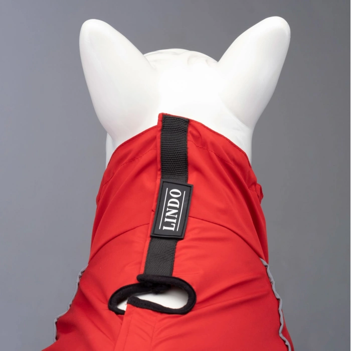 Lindo Dogs Quattro Nova Köpek Yağmurluğu Kırmızı Beden 2