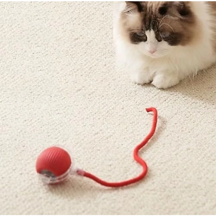 SmartBall 360° Şarjlı Hareketli Akıllı Kedi Oyun Topu
