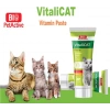Bio Pet Active VitaliCat Taurin & Biotin İçerikli Kedi Vitamin Macunu 100 ml