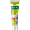 Bio Pet Active VitaliCat Taurin & Biotin İçerikli Kedi Vitamin Macunu 100 ml