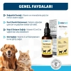 OneVet Multi Vitamin Kedi ve Köpekler İçin Gelişim ve Bağışıklık Destekleyici Damla 50 Ml