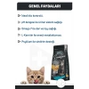 Signature Tavuklu Kısırlaştırılmış Yetişkin Kedi Maması 10 Kg