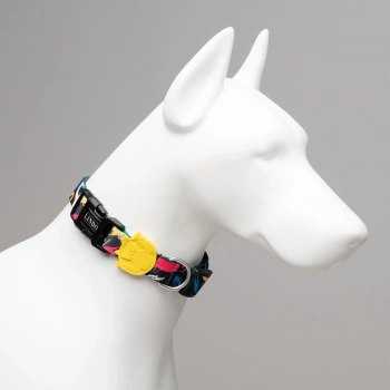 Lindo Dogs Enjoy Köpek Boyun Tasması Renkli Small