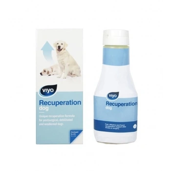 Viyo Recuperation Köpek Ek Besin Takviyesi 150 ml