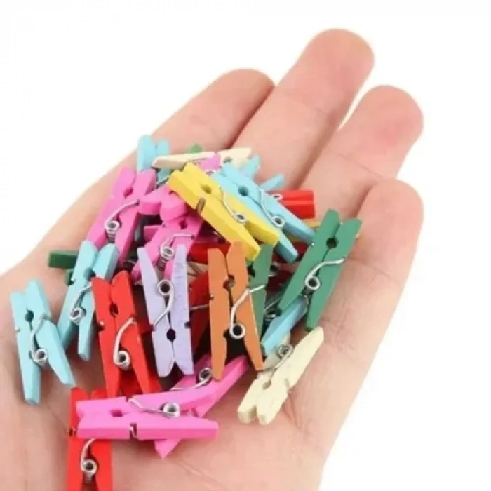 100lü Renkli Ahşap Mandal Seti 2.5 cm