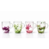 Çift Camlı Çiçekli Kupa Bardak VIVA868