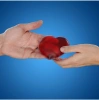 Sihirli Kalp Jel Isıtıcı
