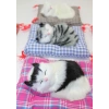 Yastıkta Uyuyan Kedi Sesli Alk24