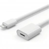 ZR81 Lightning Uzatma Kablosu 1 M