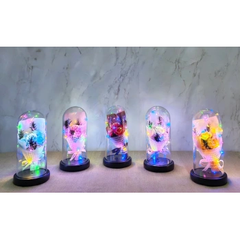 Işıklı Müzikli Fanus içinde Gül Buketi  Alk5003