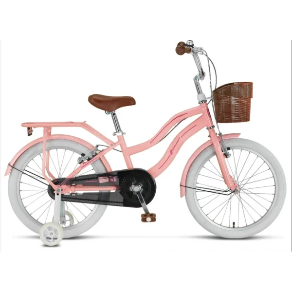 20 Jant Çocuk Bisikleti