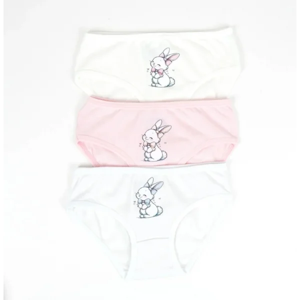3lü Kız Slip Set K128668 (tek adet fiyatıdır)