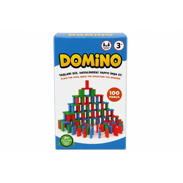 5896 DOMİNO 100 PARÇA