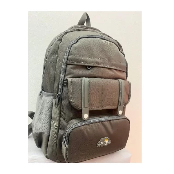ASTRAL ELEGANT SIRT ÇANTASI (GRİ)6052