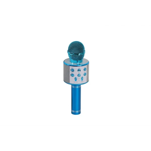 EMR-101 KUTULU KARAOKE MİKROFON