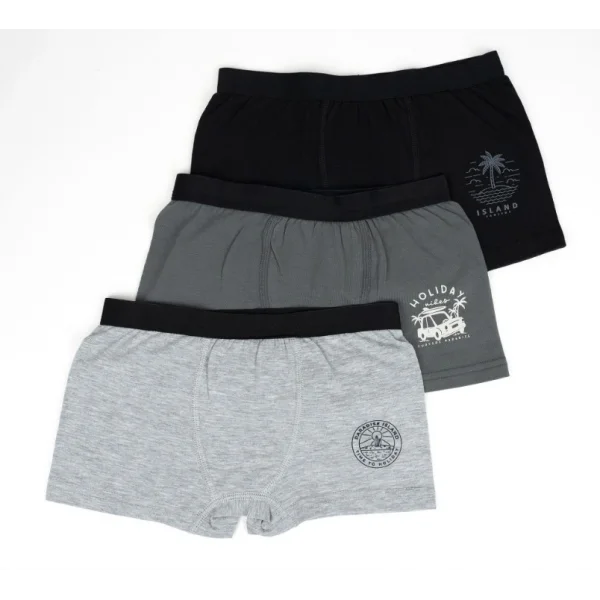 Erkek 2li Boxer Set K128997 (tek adet fiyatıdır)