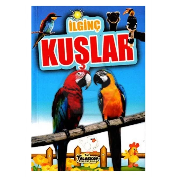 İLGİNÇ KUŞLAR
