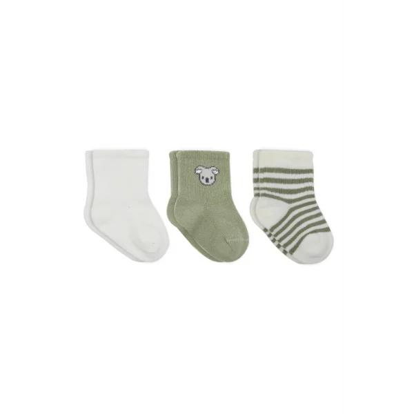Koala Boy 3lü Penye Soket Çorap 10133 Ekru