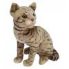 43 CM PELUŞ KEDİ HALLEY