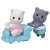 5457 İkiz İran Kedi Bebekler +3 yaş
