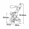 7600741503 Baby Driver Tricycle Grey