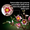 Botanicals Manolya Dalları 11510