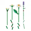 Botanicals Papatyalar 11508