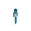 EMR-101 KUTULU KARAOKE MİKROFON