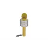EMR-101 KUTULU KARAOKE MİKROFON