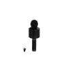 EMR-101 KUTULU KARAOKE MİKROFON