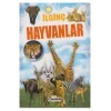 İLGİNÇ HAYVANLAR