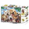 Köpek Selfie 500 Parça Yetişkin Puzzle